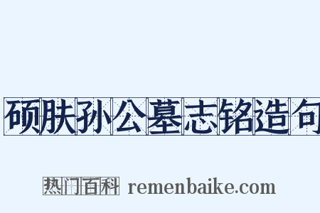 硕肤孙公墓志铭造句是什么意思的图片